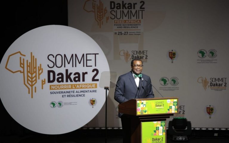 10 milliards de dollars de la BAD en faveur de la souveraineté alimentaire en Afrique  