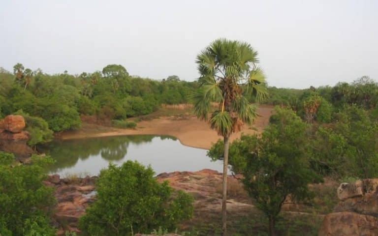 Bénin – Burkina Faso : Le sacrifice des espaces protégés au profit des ressources minières