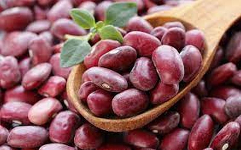 Exportation de haricots rouges d’Ethiopie vers le Pakistan : Le Kenya, principal victime