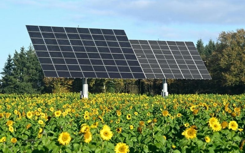 France : Le projet de loi d’accélération du développement des énergies renouvelables adopté