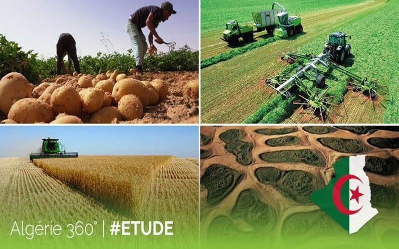 L’Algérie, pays « modèle » en matière de sécurité alimentaire en Afrique, selon le rapport du FEM