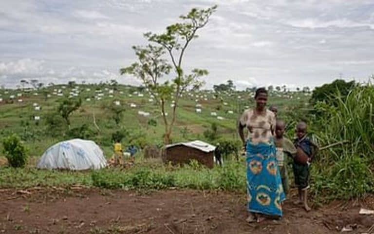 La Fertilisants organo-minéraux Industries incapable d’assurer de l’engrais payé d’avance aux agriculteurs burundais