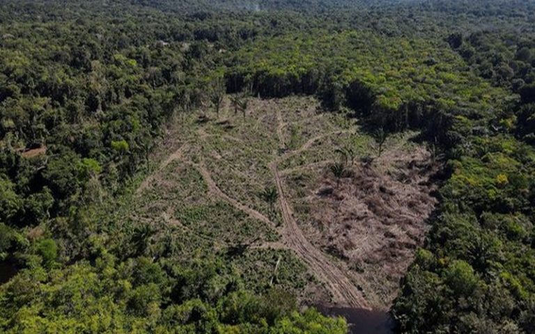 La Norvège disposée à reprendre son aide financière massive visant à protéger l’Amazonie de la déforestation