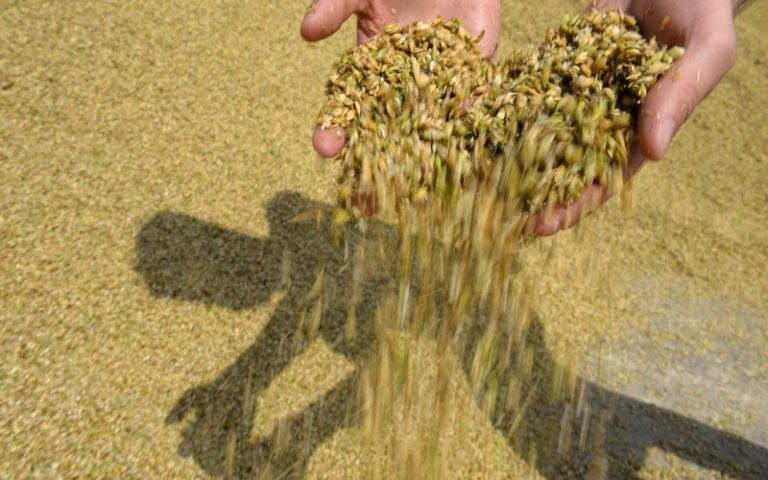 La souveraineté alimentaire en Afrique est plombée par des entreprises occidentales
