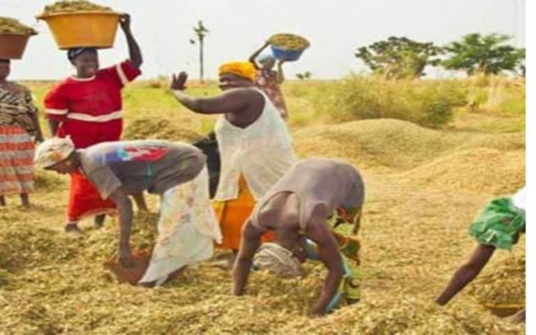Le Sénégal à la quête de 5 000 milliards dont 1 600 au Sommet de Dakar 2 pour financer sa stratégie de souveraineté alimentaire   