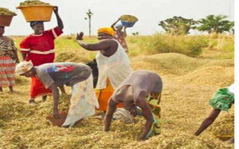 Le Sénégal à la quête de 5 000 milliards dont 1 600 au Sommet de Dakar 2 pour financer sa stratégie de souveraineté alimentaire   