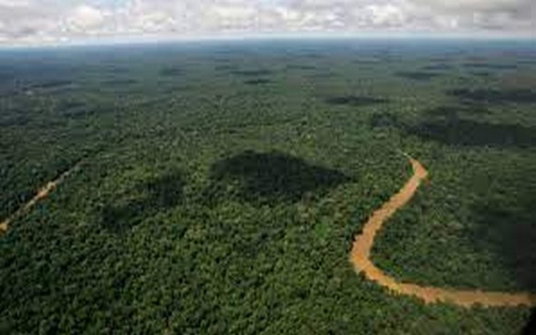 Le nouveau président du Brésil promet zéro déforestation en l’Amazonie