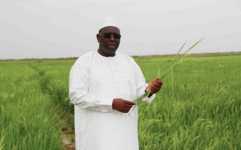 Le président Sénégalais annonce l’acquisition de matériels et équipements pour moderniser le secteur de l’agriculture