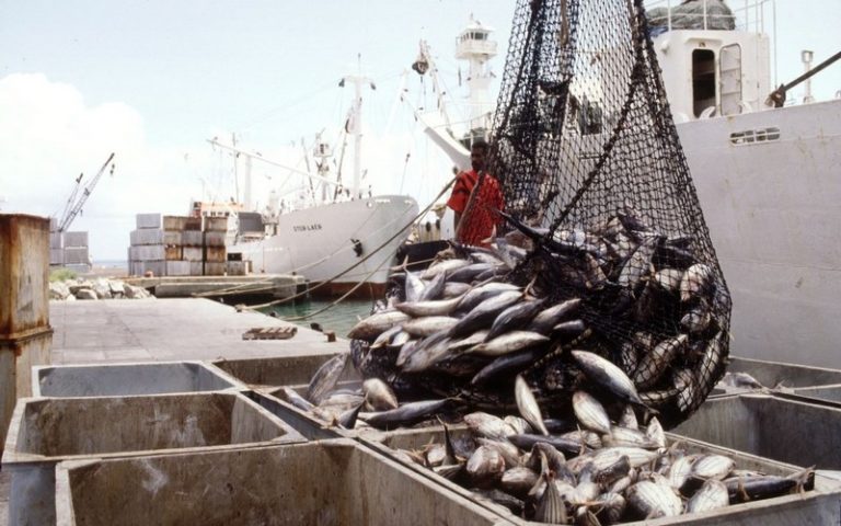 Lutte contre la pêche INN : Le Cameroun sanctionné pour la faiblesse de sa collaboration