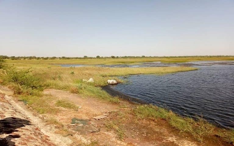 Sénégal : Baisse de fertilité, pertes de biodiversité, insécurité alimentaire – Terres dégradées, agriculture en sursis