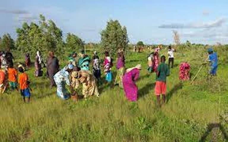 Sommet Dakar 2 : La LSD appelle à « protéger les petits exploitants et éviter de privatiser l’agriculture africaine »                              