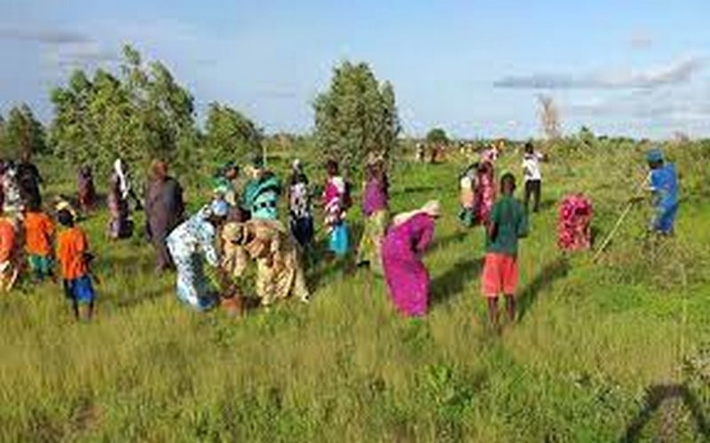 Sommet Dakar 2 : La LSD appelle à « protéger les petits exploitants et éviter de privatiser l’agriculture africaine »                              