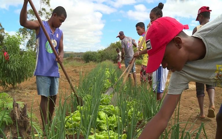 Sommet Dakar 2 : Madagascar obtient 534 millions $ pour soutenir son plan alimentaire et agricole