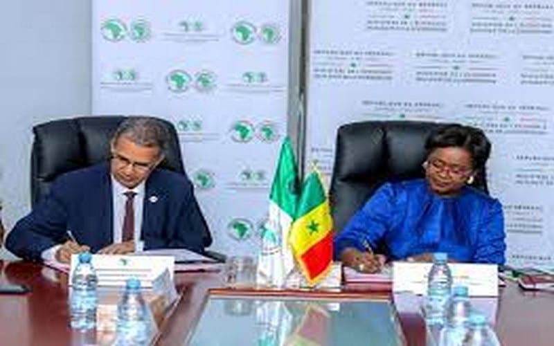 205,56 millions € de la BAD pour financer les secteurs de l’élevage et du transport au Sénégal