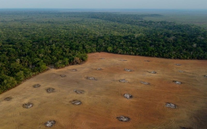 Brésil : La déforestation en Amazonie en baisse lors du premier mois de Lula