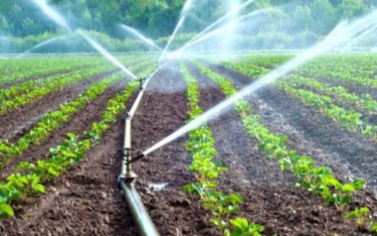 FOPAT : Les producteurs agricoles de la région de Plateaux appuyés par le gouvernement Togolais