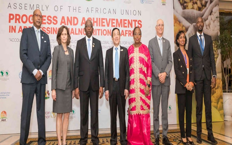L’Afrique exhortée à renforcer sa volonté politique pour atteindre les objectifs continentaux en matière de nutrition