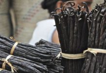 La vanille malgache en quête de preneur
