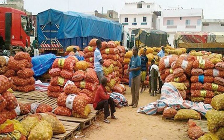 Le Maroc « dégraisse » l’Afrique de l’Ouest suite à l’interdiction d’exporter de la tomate, de l’oignon et de la pomme de terre