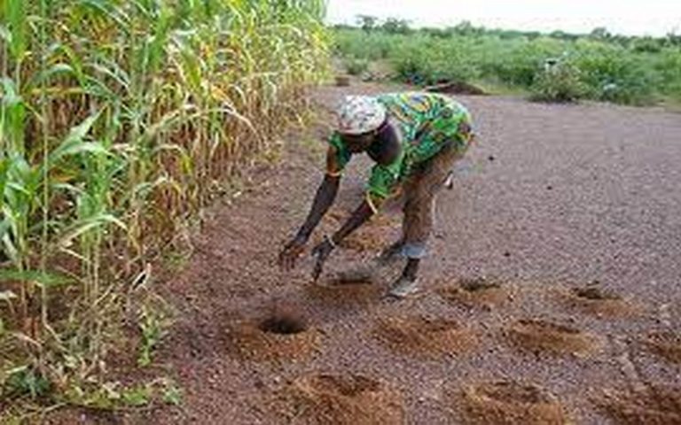 Le Sénégal lance un projet d&rsquo;agriculture intelligente d&rsquo;une valeur de 2 milliards FCFA
