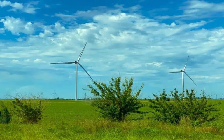 <strong>Les initiatives de l’Afrique pour le développement durable</strong>