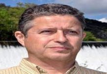 Plinio Sist : « La sylviculture tropicale doit changer de paradigme »