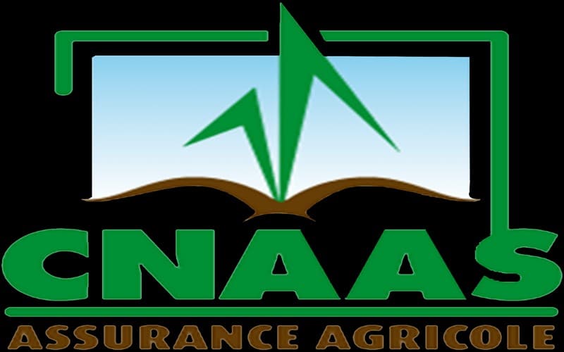 Sénégal : La CNAAS indemnise six organisations paysannes à Tambacounda pour perte d’animaux   