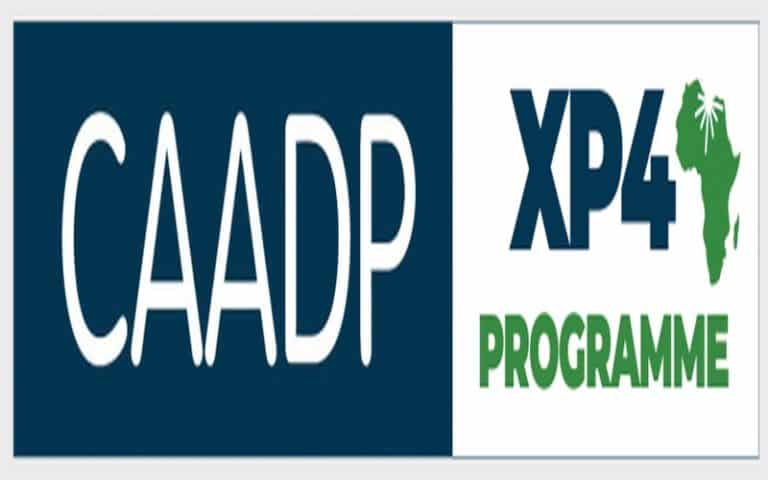 Sénégal : La mise en œuvre du programme PDDAA-XP4 a atteint un taux d’exécution de 45%, affirme son coordonnateur