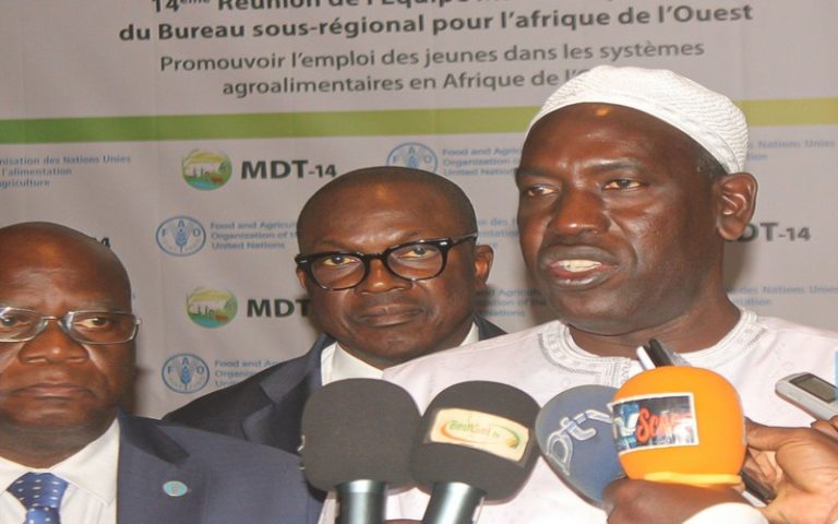 Afrique de l’ouest : La promotion de l’emploi des jeunes dans les systèmes agroalimentaires au menu d’un atelier international au Sénégal