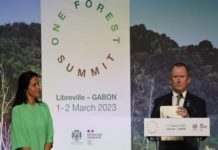 Alain Karsenty : « Les questions de financement, enjeu le plus important » du One Forest Summit