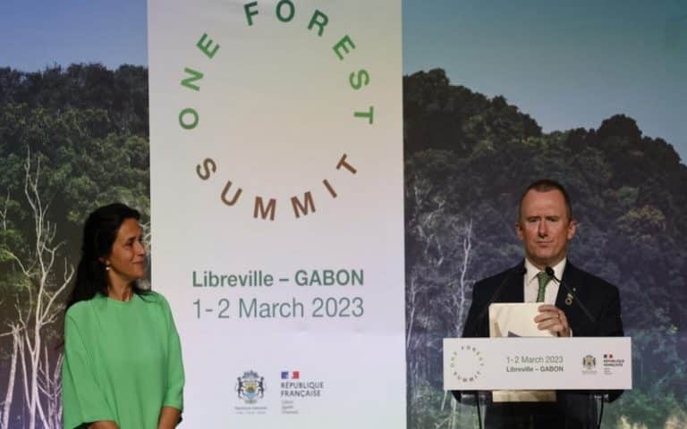 <strong>Alain Karsenty : « Les questions de financement, enjeu le plus important » du One Forest Summit</strong>