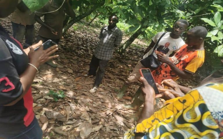 Bénin – innovation : Francis Dossou Sognon envisage connecter les agriculteurs et les industriels grâce à sa plateforme AgroSfer