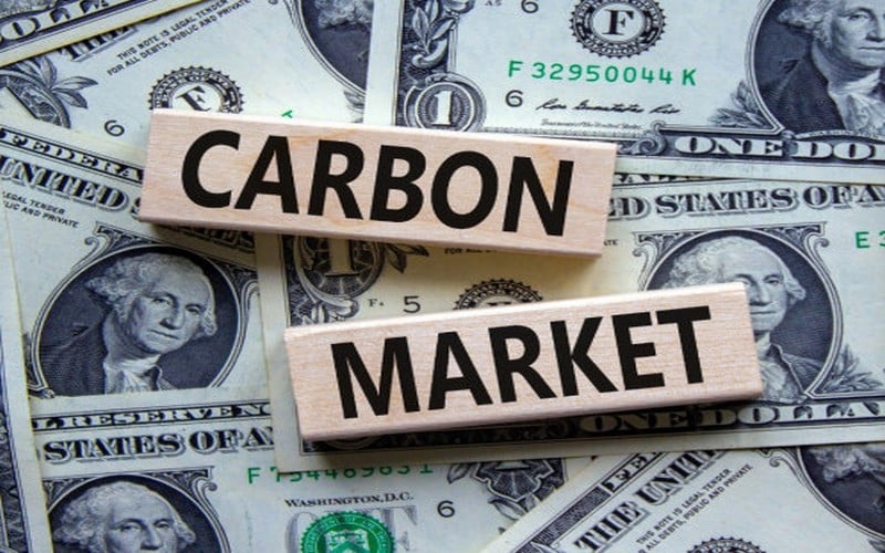 L’Afrique doit adopter le système d’échange de droits d’émission de carbone