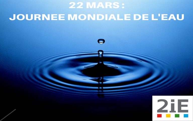 <strong>La Journée mondiale de l’eau : 2IE sensibilise à l’importance de l’eau douce</strong>