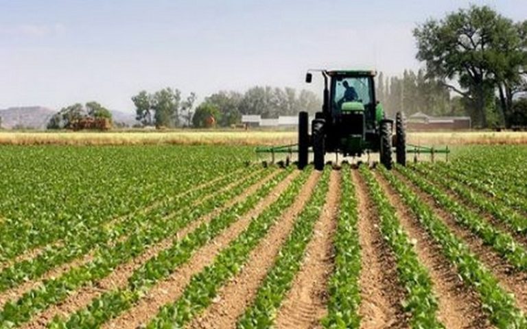 Le gouvernement gabonais aménage 250 000 hectares de terres pour des investisseurs agricoles