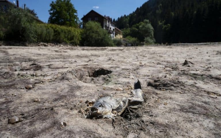 Malgré les impacts du changement climatique de pire en pire, des solutions sous notre nez