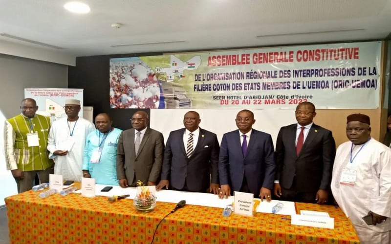 ORIC-UEMOA, une organisation des interprofessions de la filière coton voit le jour en Côte d’Ivoire