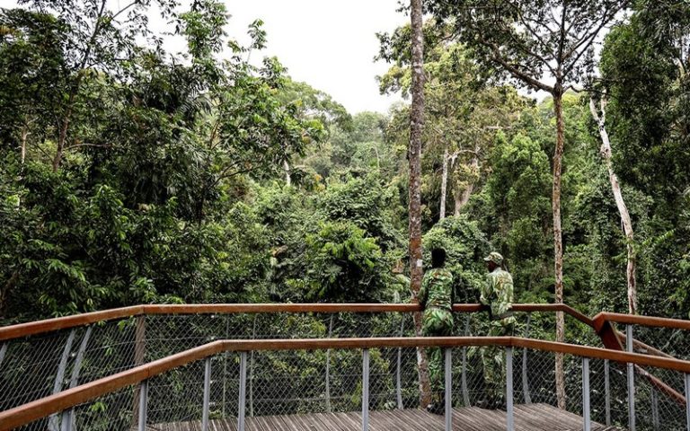 <strong>One Forest Summit : quelle place pour les communautés autochtones ?</strong>