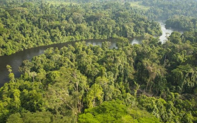 Préservation des forêts du bassin du Congo : La France promet de mobiliser environ 65,5 milliards FCFA
