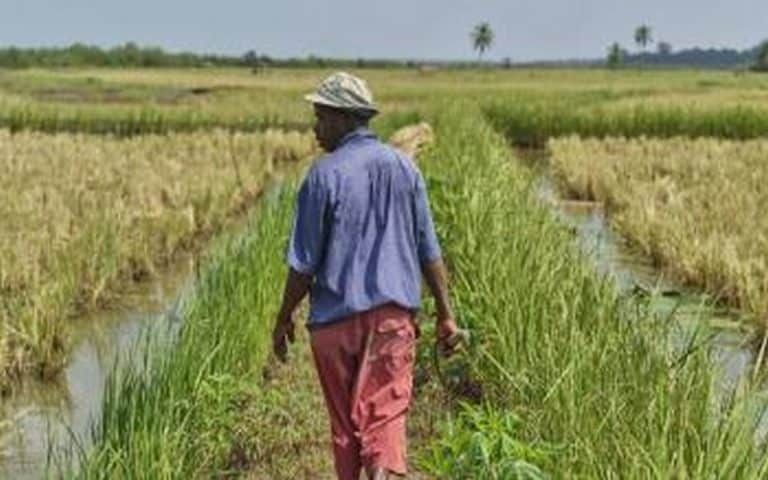 SIA de Paris : Les Africains déterminés à « montrer combien l’Afrique a la maîtrise de sa destinée alimentaire »
