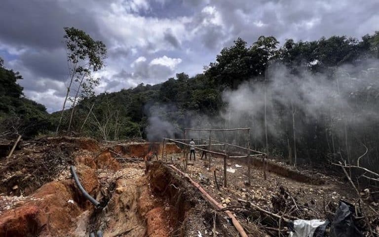 Une étude renseigne que la déforestation tropicale réduit considérablement les précipitations               