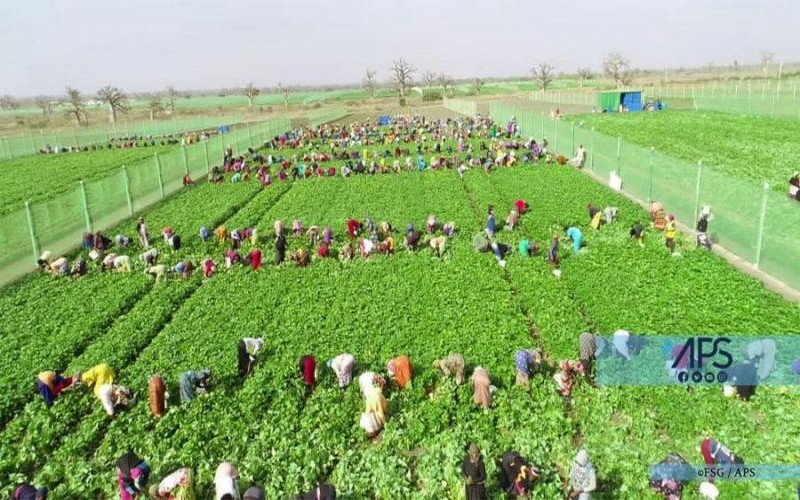 A Mont-Rolland, la success story d’une ferme agricole