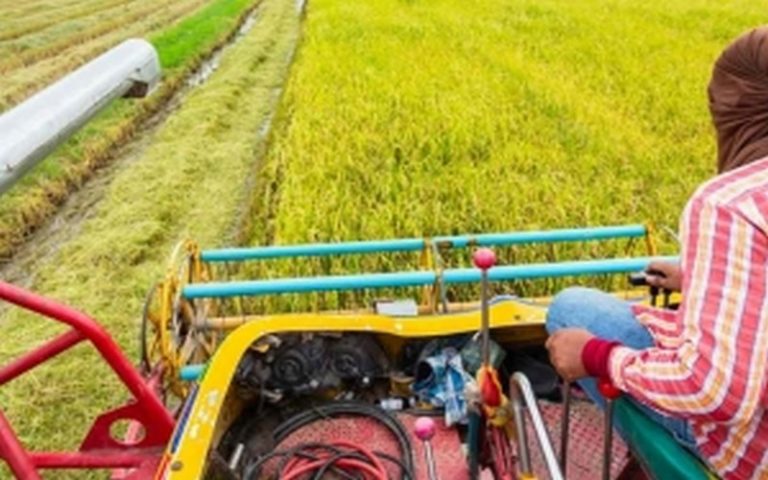 Au Japon, le président de la BAD plaide pour plus d’investissements dans l’agriculture et les énergies renouvelables