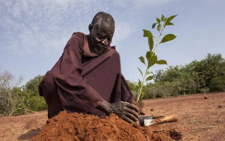 Changement climatique : Le PAM mise sur une approche de résilience pour s’attaquer aux causes profondes des vulnérabilités en Mauritanie