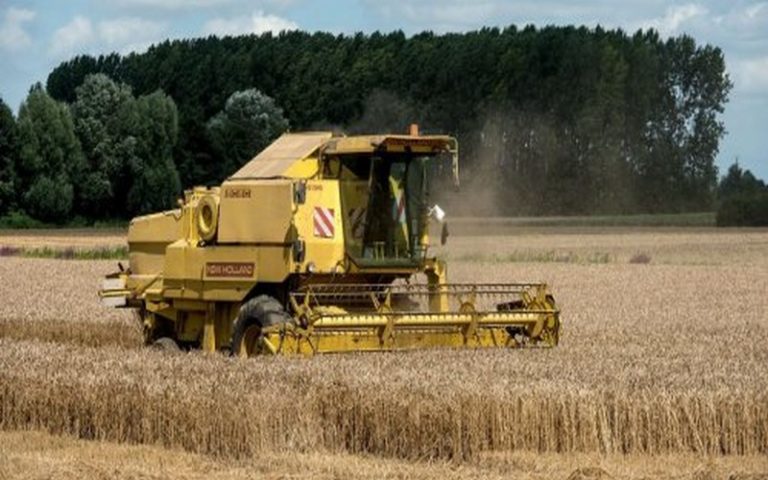 Exportation de céréales vers l’Afrique : La phosphine, réclamée par des pays importateurs et interdite en France inquiète