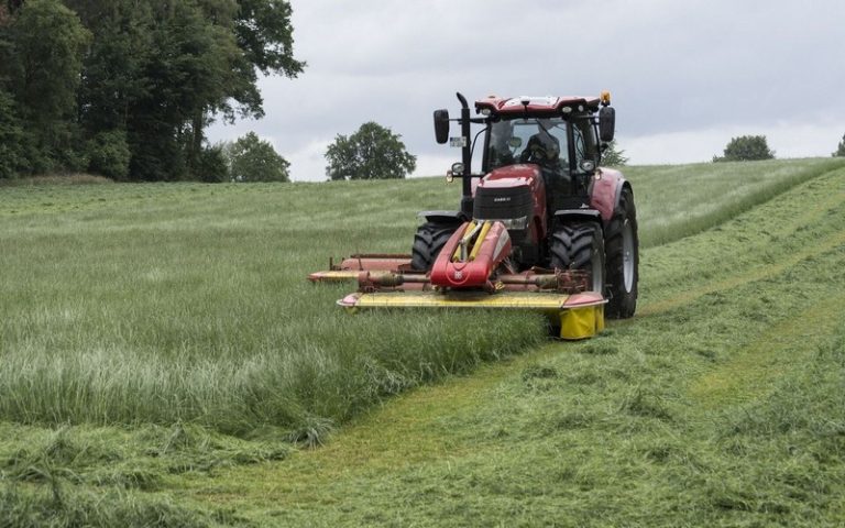 Grâce au biochar, des scientifiques russes améliorent la fertilité des sols