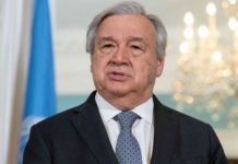 Énergies renouvelables en Afrique : António Guterres appelle à une révolution verte lors de la COP29
