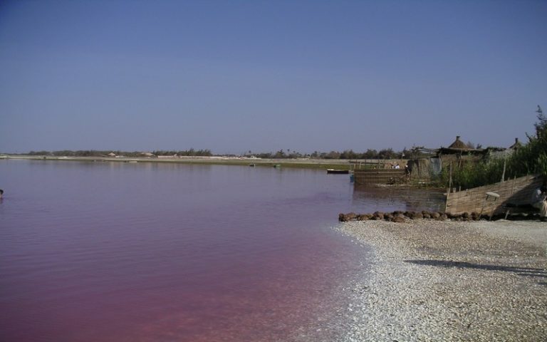 Le directeur général du CSE préconise un plan de préservation des fonctions écologiques et socio-économiques du Lac Rose