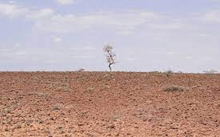 Les pays de la Corne de l’Afrique appellent à une action sur le changement climatique et à une refonte du système mondial