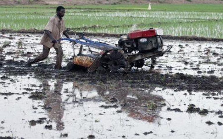 Renforcement de l’agriculture rurale à Madagascar : La Banque mondiale signe un partenariat avec l’AFD